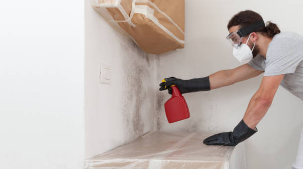 Attic Mold Remediation treatment on roof deck in Reading